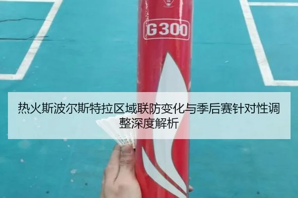 热火斯波尔斯特拉区域联防变化与季后赛针对性调整深度解析
