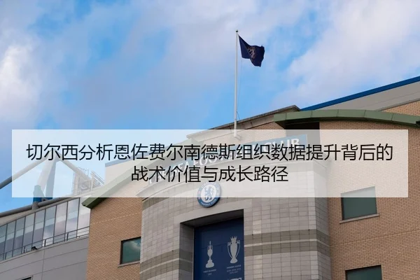 切尔西分析恩佐费尔南德斯组织数据提升背后的战术价值与成长路径